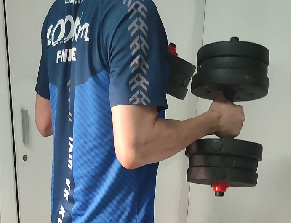 Dumbel Hammer Curl